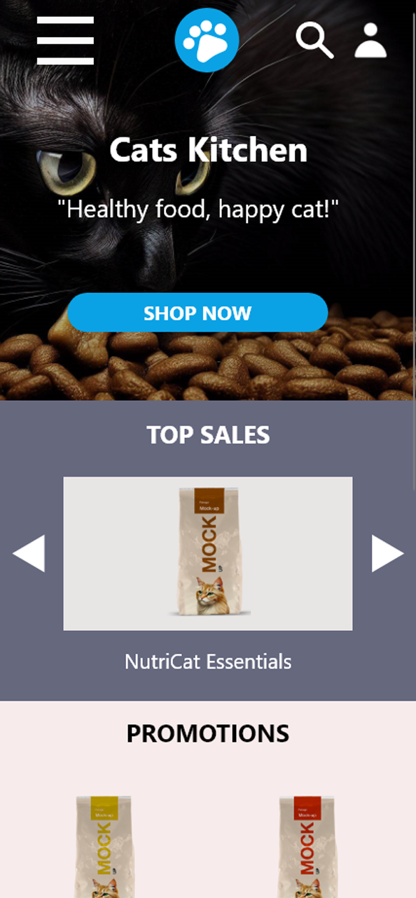 Résultat haute fidélité responsive 1